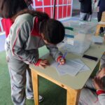 eleccion ceal (43)